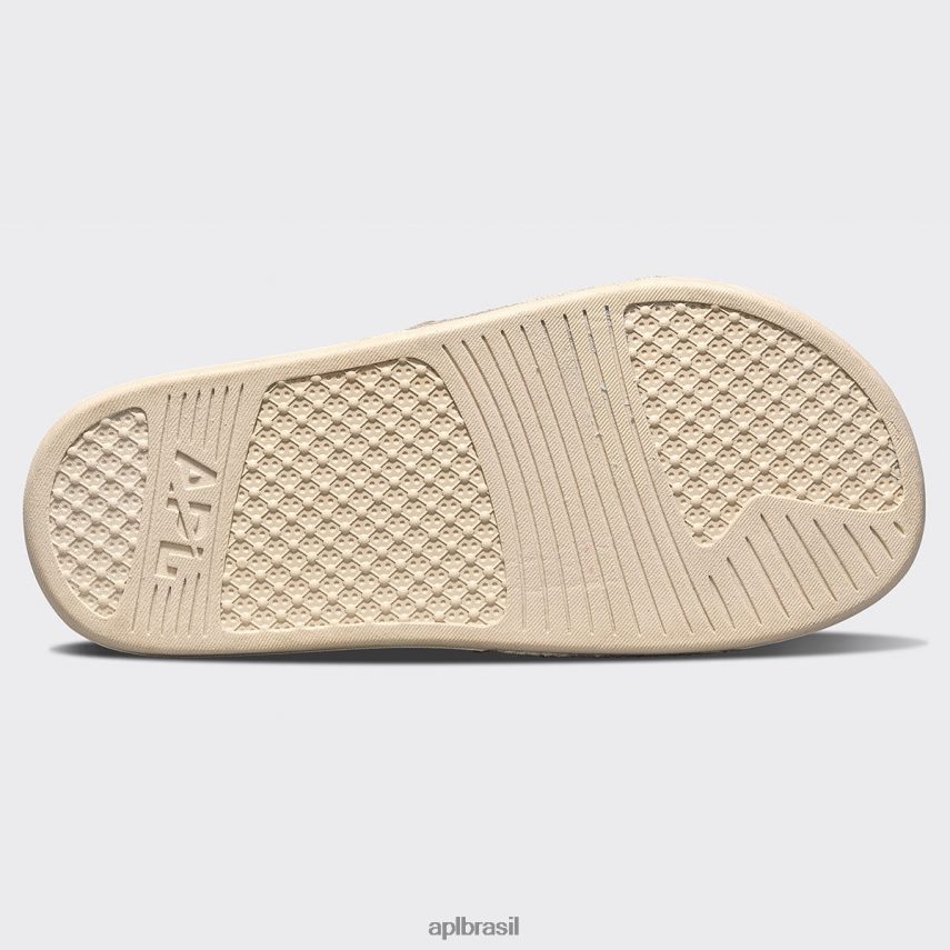 diapositivos APL grande logotipo techloom slide 6 pergaminho homens PRHR241019