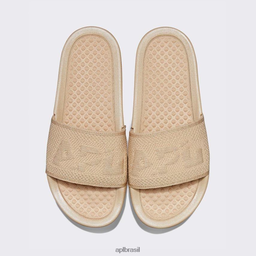 diapositivos APL grande logotipo techloom slide 7 champanhe metálico homens PRHR241053