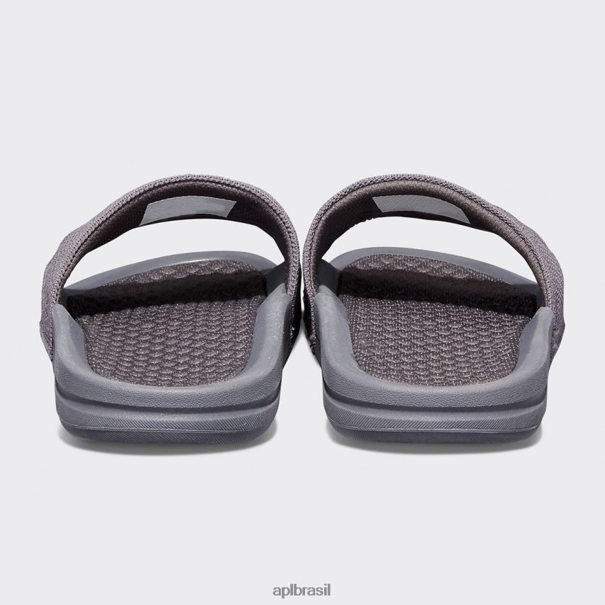 diapositivos APL grande logotipo techloom slide 8 asteróide homens PRHR241070