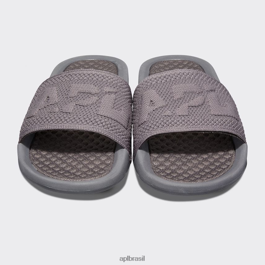 diapositivos APL grande logotipo techloom slide 8 asteróide homens PRHR241070