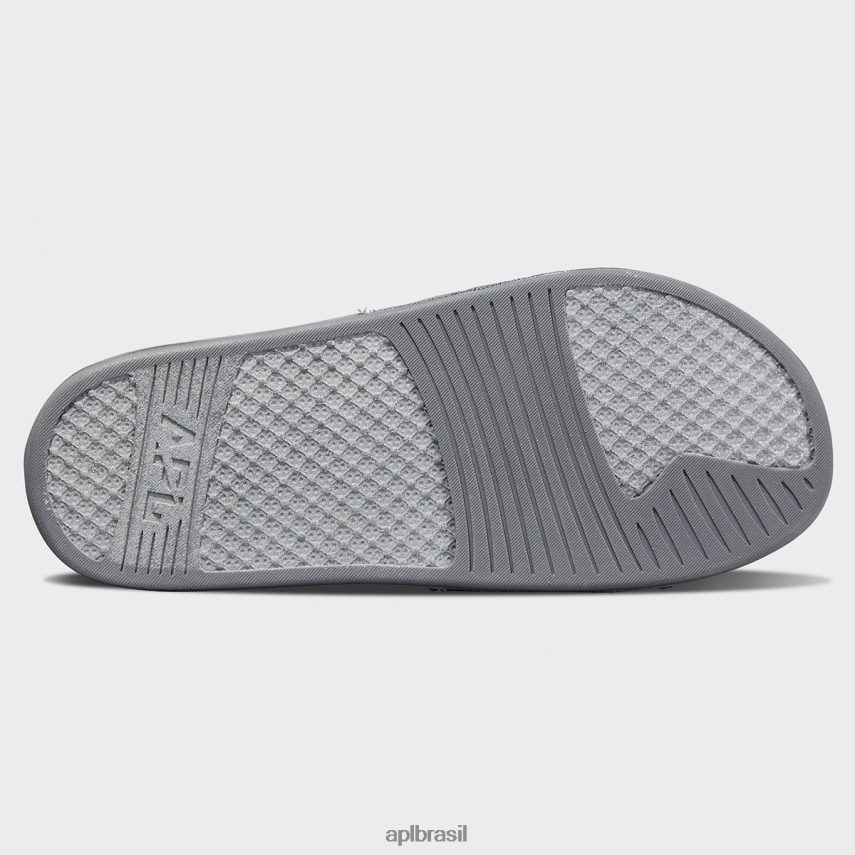 diapositivos APL grande logotipo techloom slide 8 asteróide homens PRHR241070