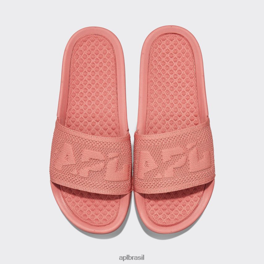 diapositivos APL grande logotipo techloom slide 8 cedro homens PRHR241088