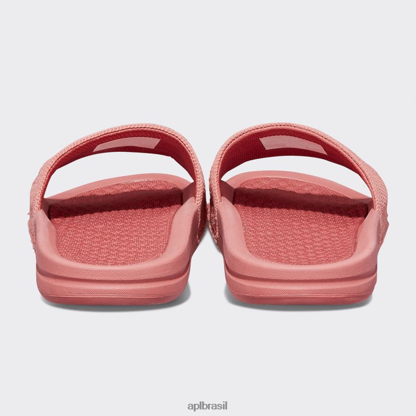 diapositivos APL grande logotipo techloom slide 8 cedro homens PRHR241088