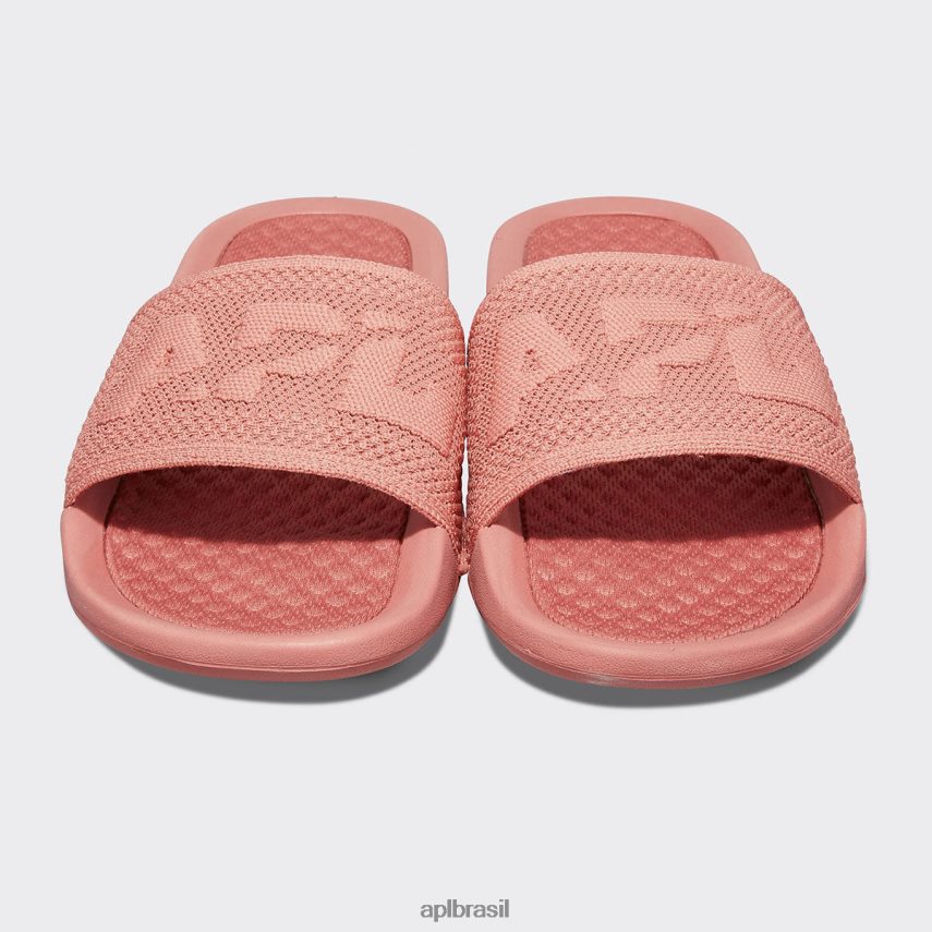 diapositivos APL grande logotipo techloom slide 8 cedro homens PRHR241088