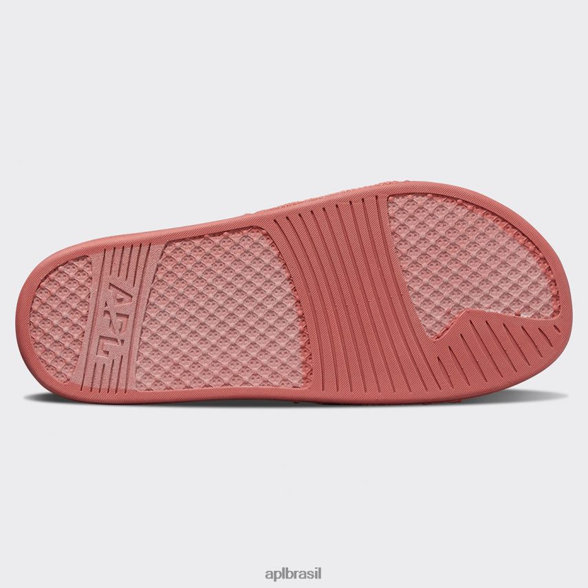 diapositivos APL grande logotipo techloom slide 8 cedro homens PRHR241088