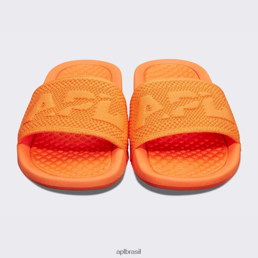 diapositivos APL grande logotipo techloom slide 8 laranja homens PRHR241079