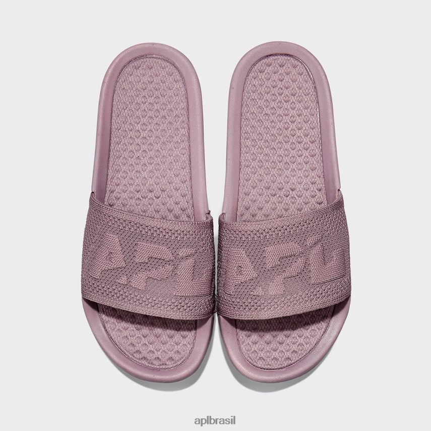 diapositivos APL grande logotipo techloom slide 9 paisagem lunar homens PRHR241091