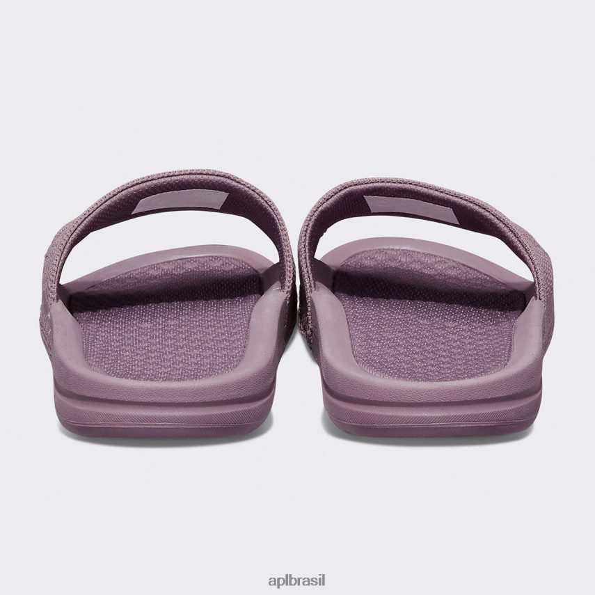 diapositivos APL grande logotipo techloom slide 9 paisagem lunar homens PRHR241091