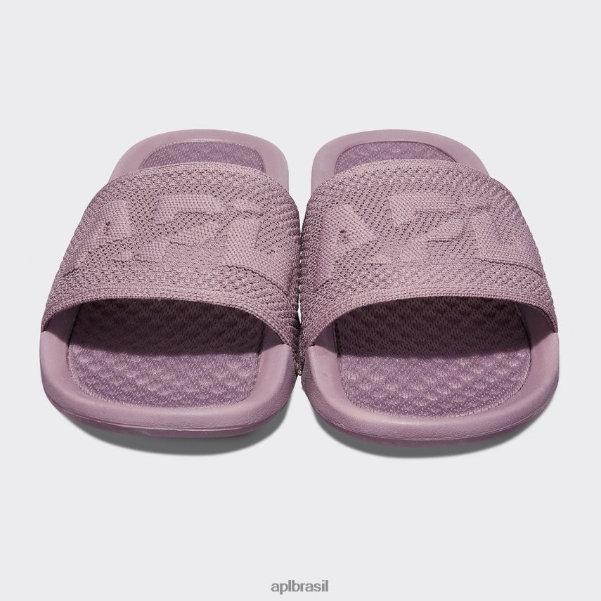 diapositivos APL grande logotipo techloom slide 9 paisagem lunar homens PRHR241091