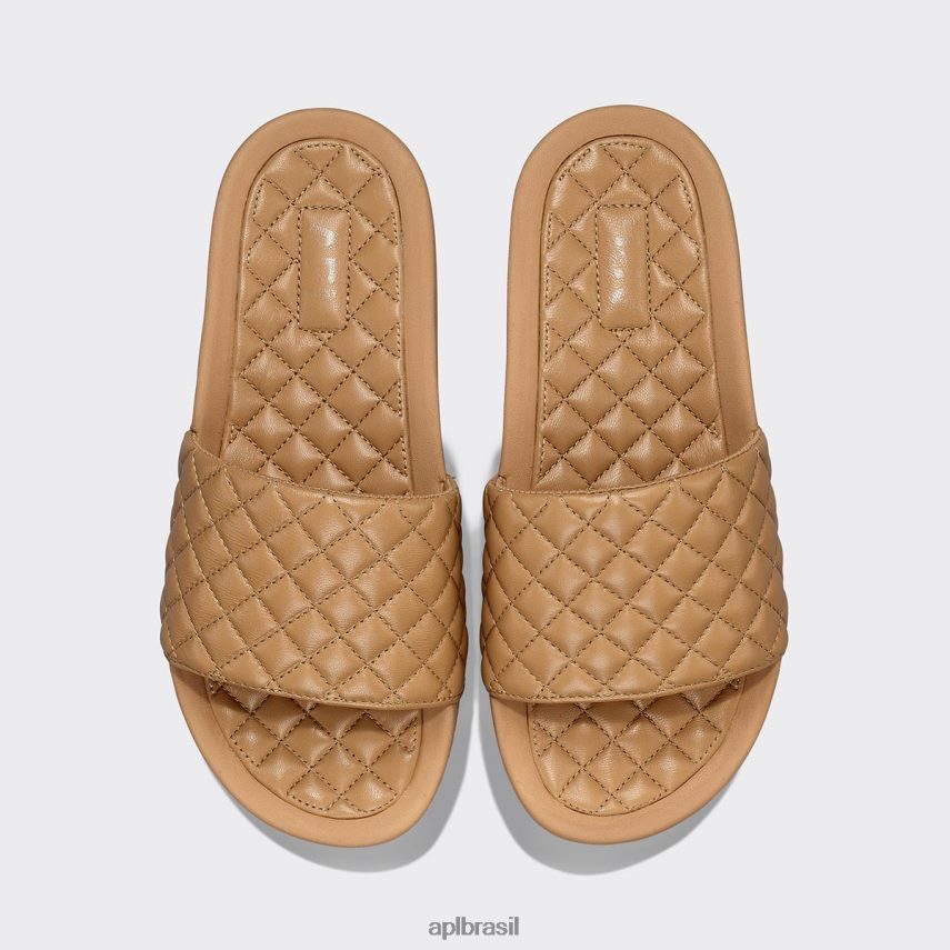 diapositivos APL lusso slide 15 bronzeado homens PRHR241008