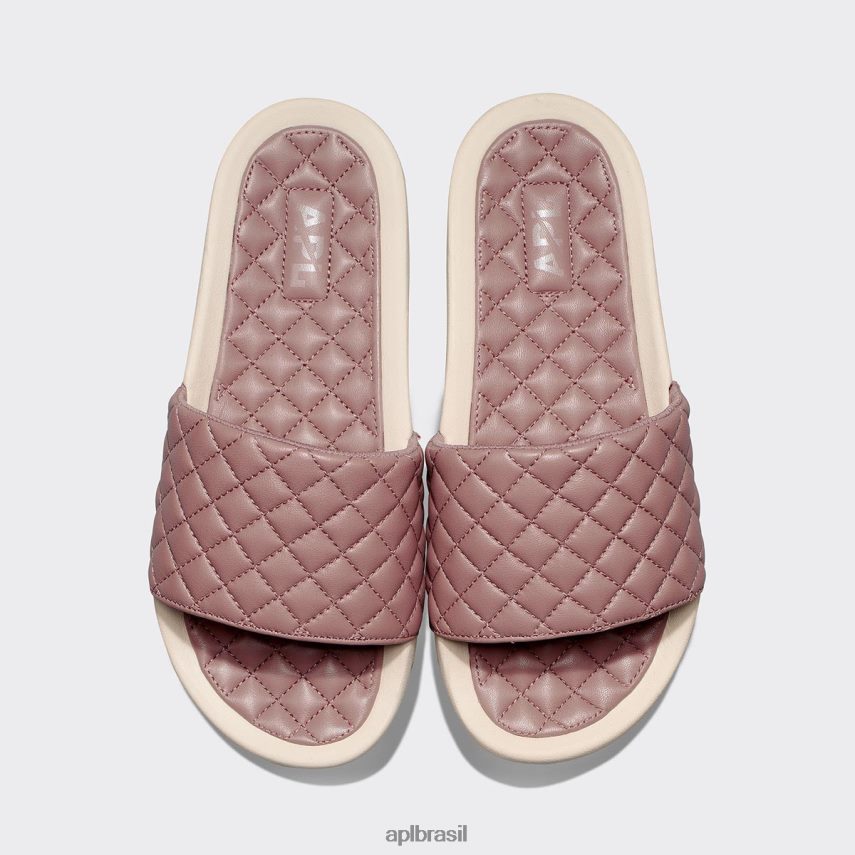 madeira de praia / intocada