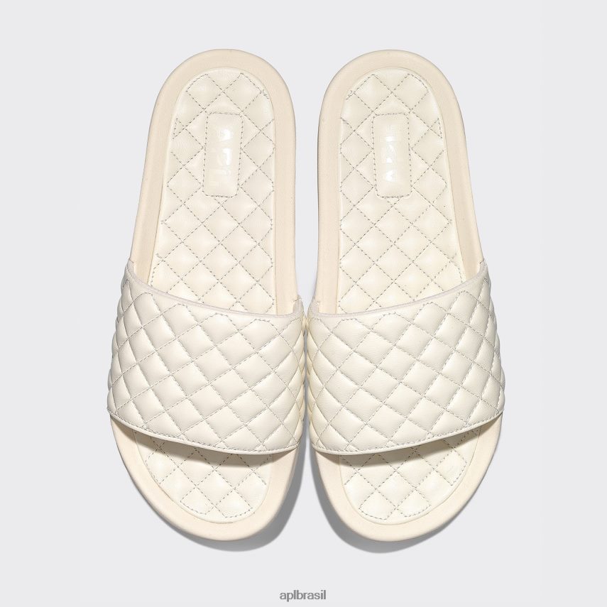 diapositivos APL lusso slide 17 imaculado homens PRHR241099