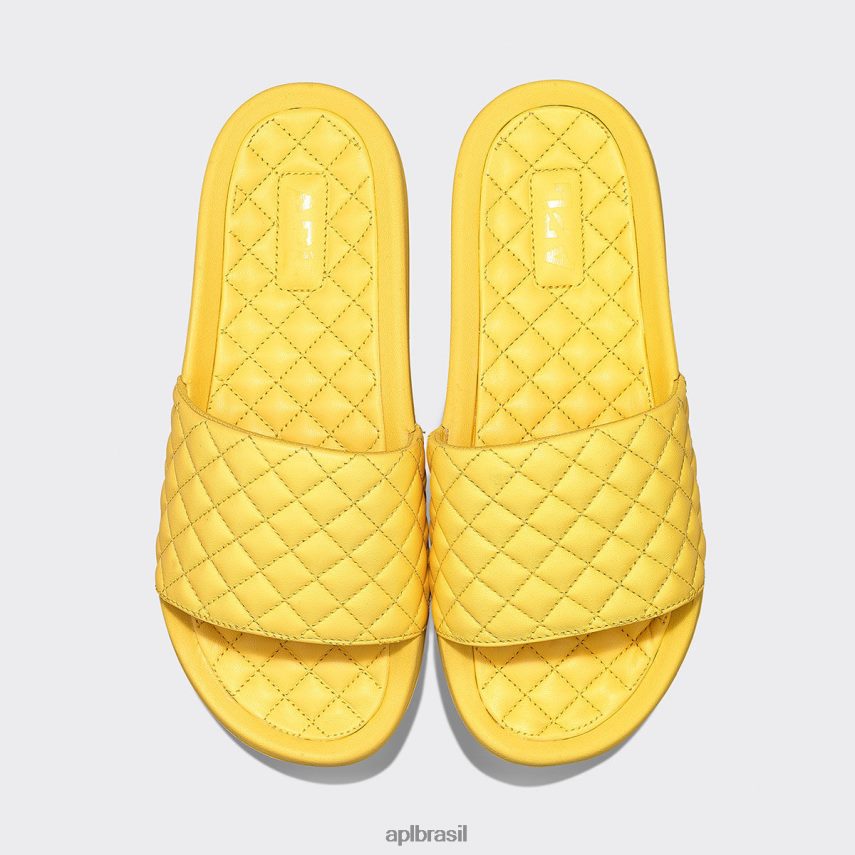 diapositivos APL lusso slide 17 luz do sol homens PRHR241081