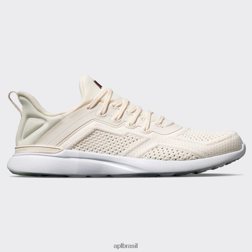 sal marinho/bordô/branco