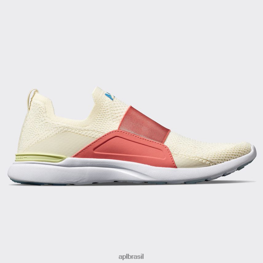 intocada/coral de fogo/azul costeiro