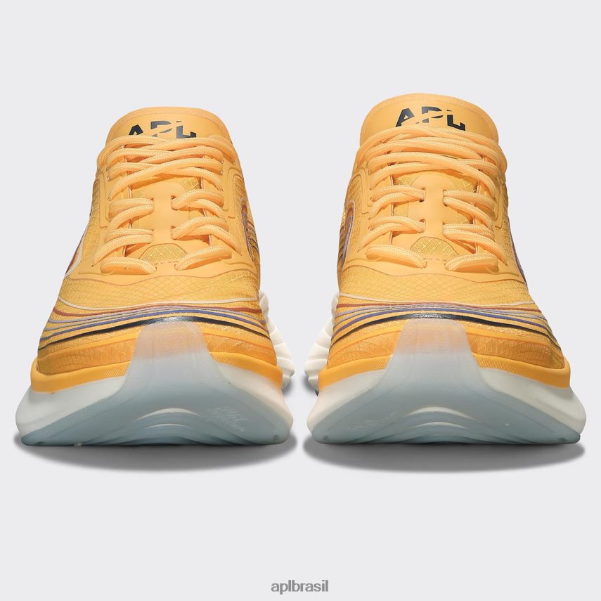 correndo APL simplificar 21 calêndula/meia-noite/multi mulheres PRHR24429