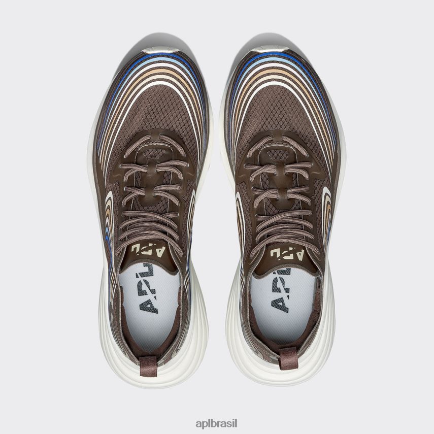 correndo APL simplificar 21 chocolate/cobalto/multi mulheres PRHR24396