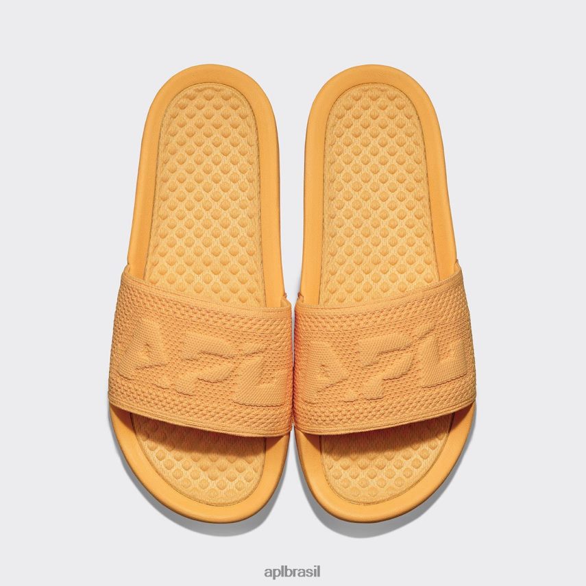 diapositivos APL grande logotipo techloom slide 2 calêndula mulheres PRHR24586