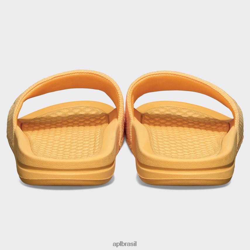 diapositivos APL grande logotipo techloom slide 2 calêndula mulheres PRHR24586