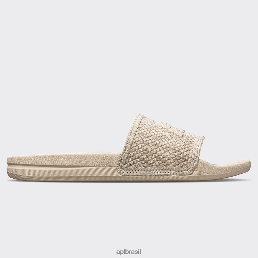 diapositivos APL grande logotipo techloom slide 2 pergaminho mulheres PRHR24563