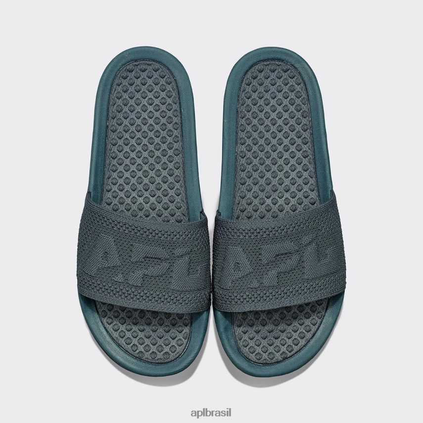 diapositivos APL grande logotipo techloom slide 2 selva da meia-noite mulheres PRHR24598