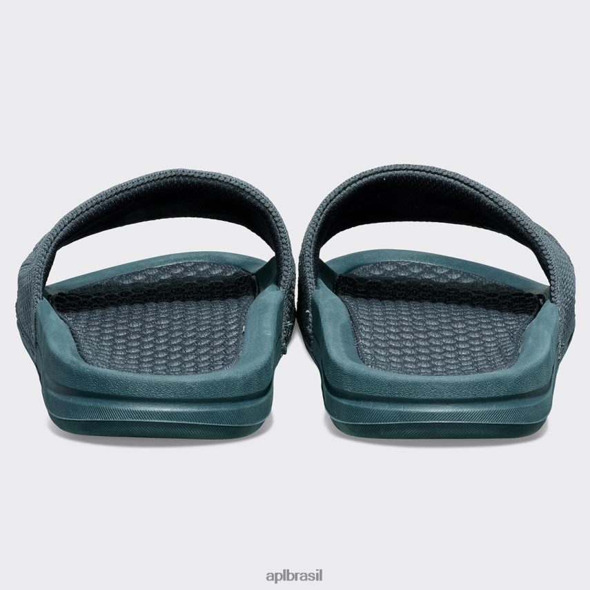 diapositivos APL grande logotipo techloom slide 2 selva da meia-noite mulheres PRHR24598