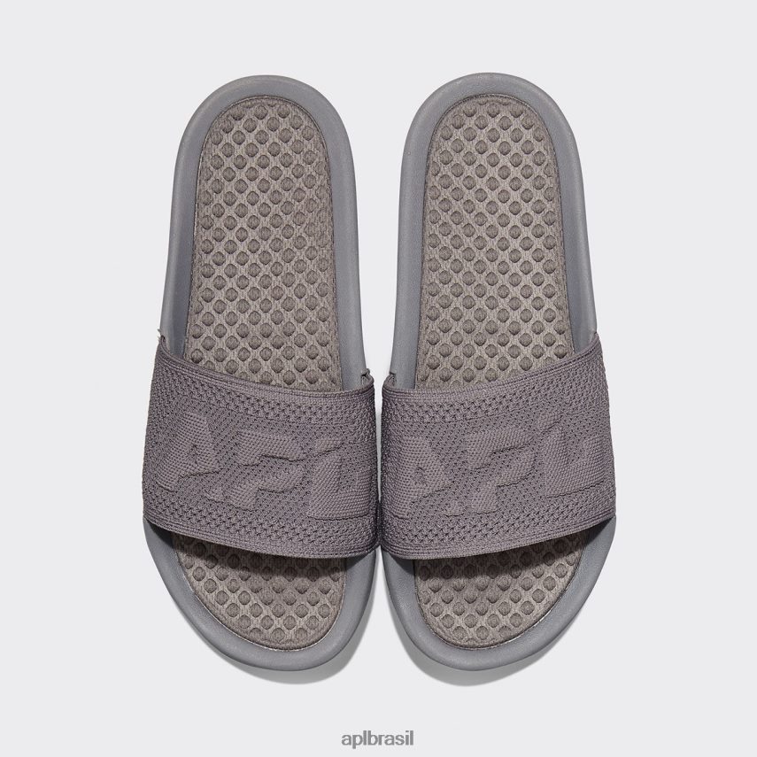 diapositivos APL grande logotipo techloom slide 3 asteróide mulheres PRHR24632