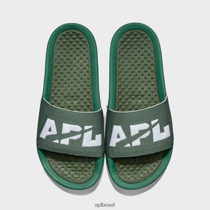 diapositivos APL grande logotipo techloom slide 3 grande verde/branco mulheres PRHR24627
