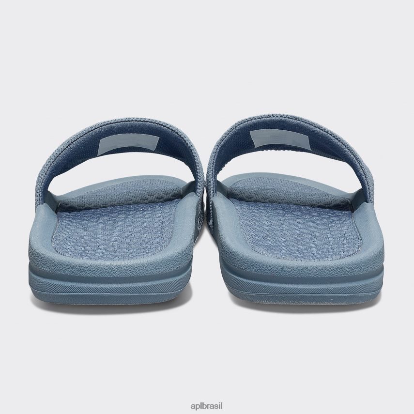 diapositivos APL grande logotipo techloom slide 4 Moonstone mulheres PRHR24651