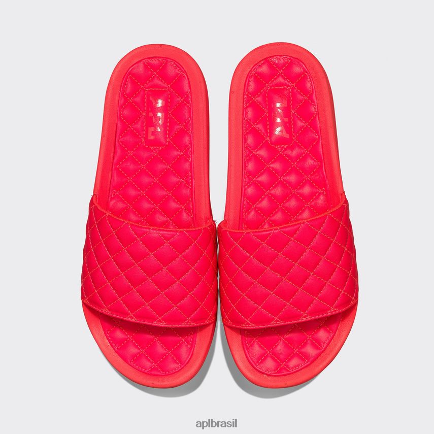 diapositivos APL lusso slide 13 magenta mulheres PRHR24645