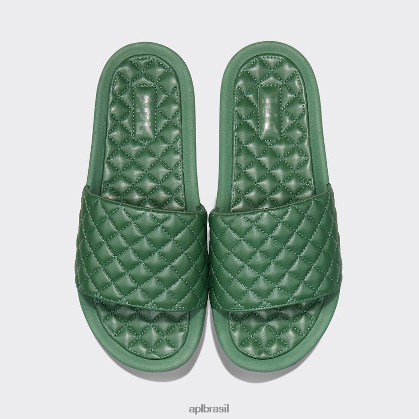 diapositivos APL lusso slide 13 verde escuro mulheres PRHR24653