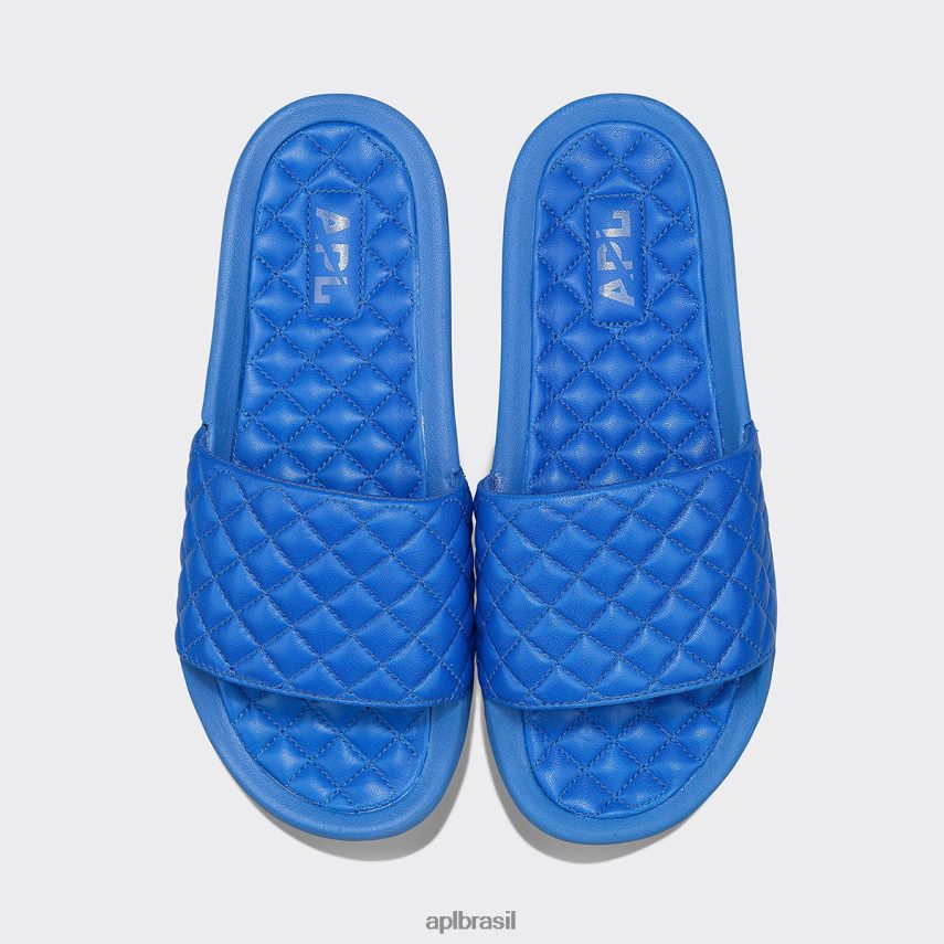 diapositivos APL lusso slide 14 cobalto mulheres PRHR24660