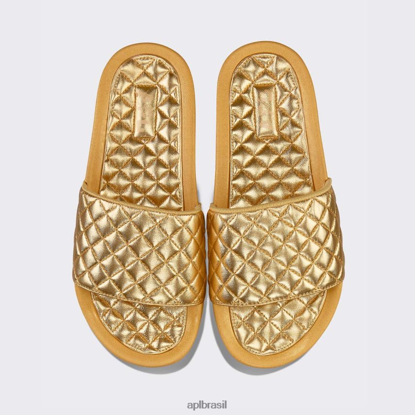 diapositivos APL lusso slide 14 ouro metálico mulheres PRHR24681