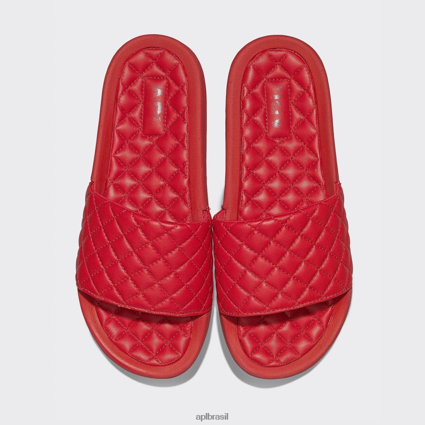 diapositivos APL lusso slide 14 vermelho mulheres PRHR24674